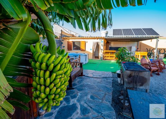 Vista de la finca con un jardín con platanera y una casita al fondo, ideal para eventos