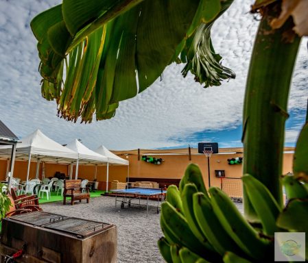 Vista panorámica desde el jardín hacia Finca Vicente y Sandra, con carpas, mesa de ping pong y terraza de madera preparadas para un evento